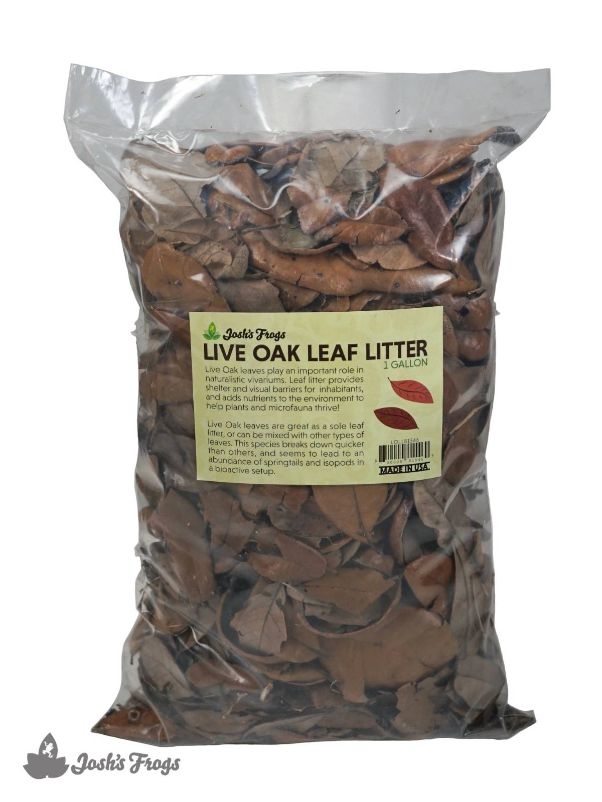 Live Oak Leaf Litter