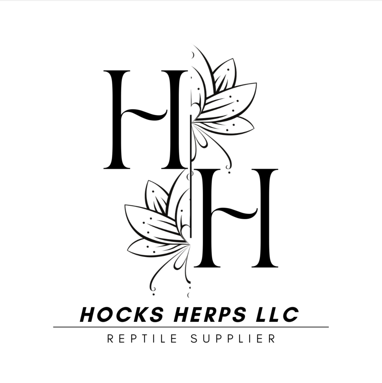 Hocks Herps